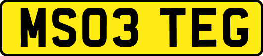 MS03TEG