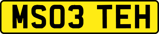 MS03TEH