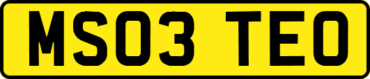MS03TEO