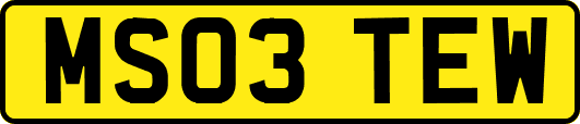 MS03TEW