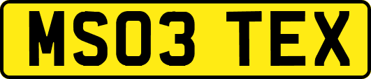 MS03TEX