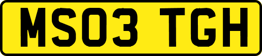 MS03TGH