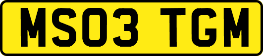 MS03TGM