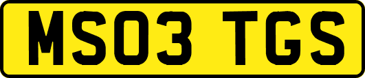 MS03TGS