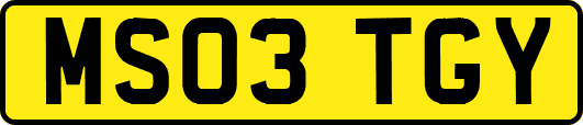 MS03TGY