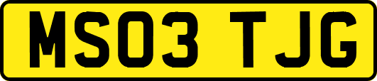 MS03TJG