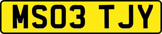 MS03TJY