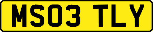 MS03TLY