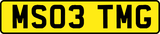 MS03TMG