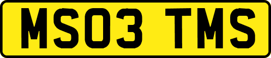 MS03TMS