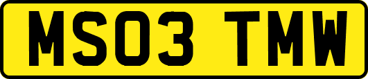 MS03TMW