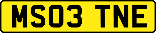 MS03TNE