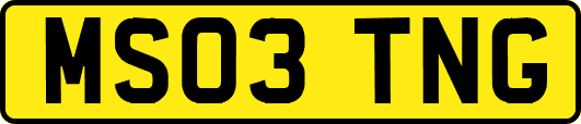 MS03TNG