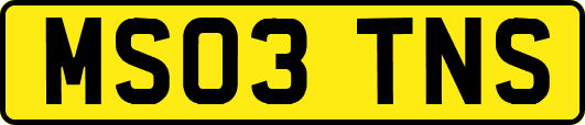 MS03TNS