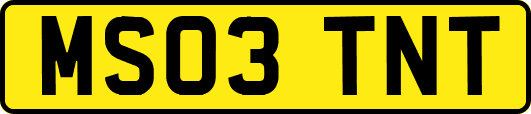 MS03TNT