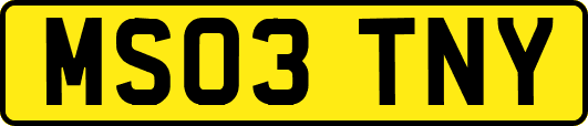 MS03TNY
