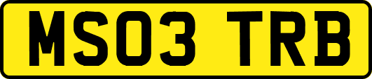 MS03TRB