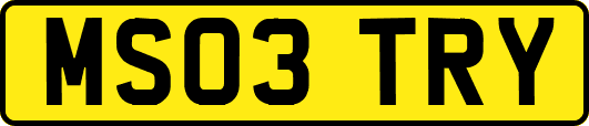 MS03TRY