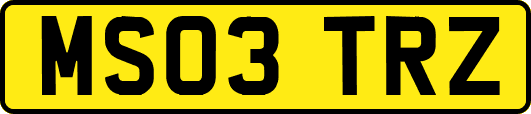 MS03TRZ