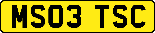 MS03TSC