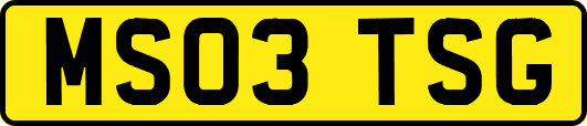 MS03TSG