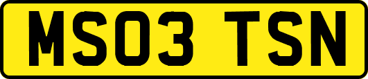 MS03TSN