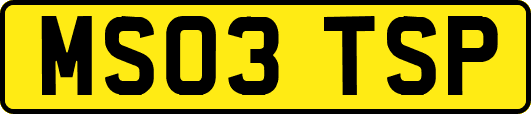 MS03TSP