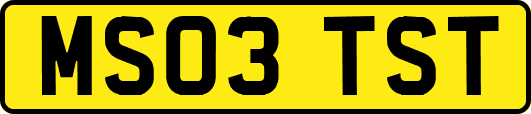 MS03TST