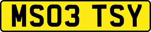 MS03TSY