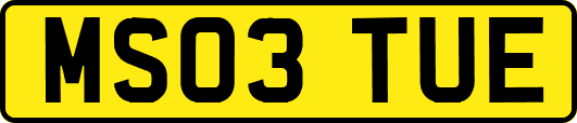 MS03TUE