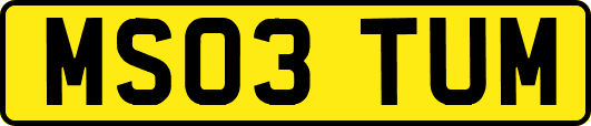 MS03TUM