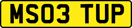 MS03TUP