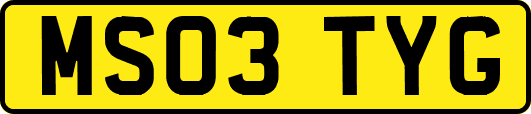 MS03TYG
