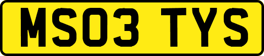 MS03TYS