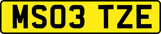 MS03TZE