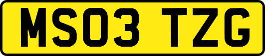 MS03TZG