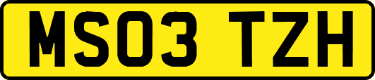 MS03TZH