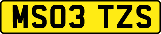 MS03TZS