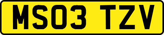 MS03TZV