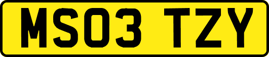 MS03TZY