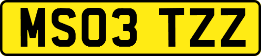 MS03TZZ