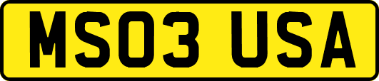 MS03USA