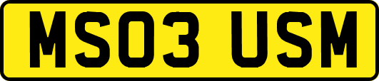 MS03USM