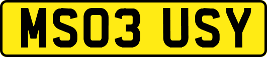 MS03USY