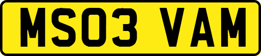 MS03VAM