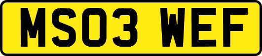 MS03WEF