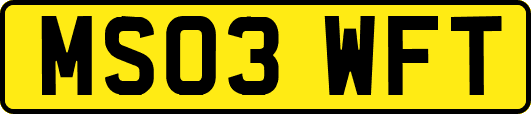MS03WFT