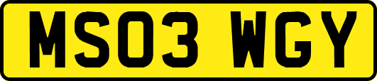 MS03WGY