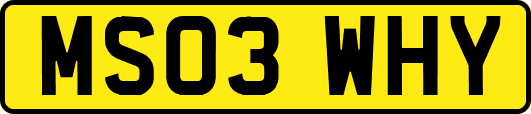 MS03WHY