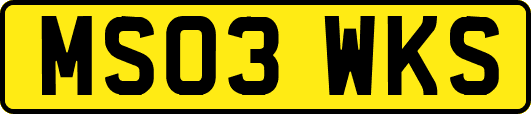 MS03WKS
